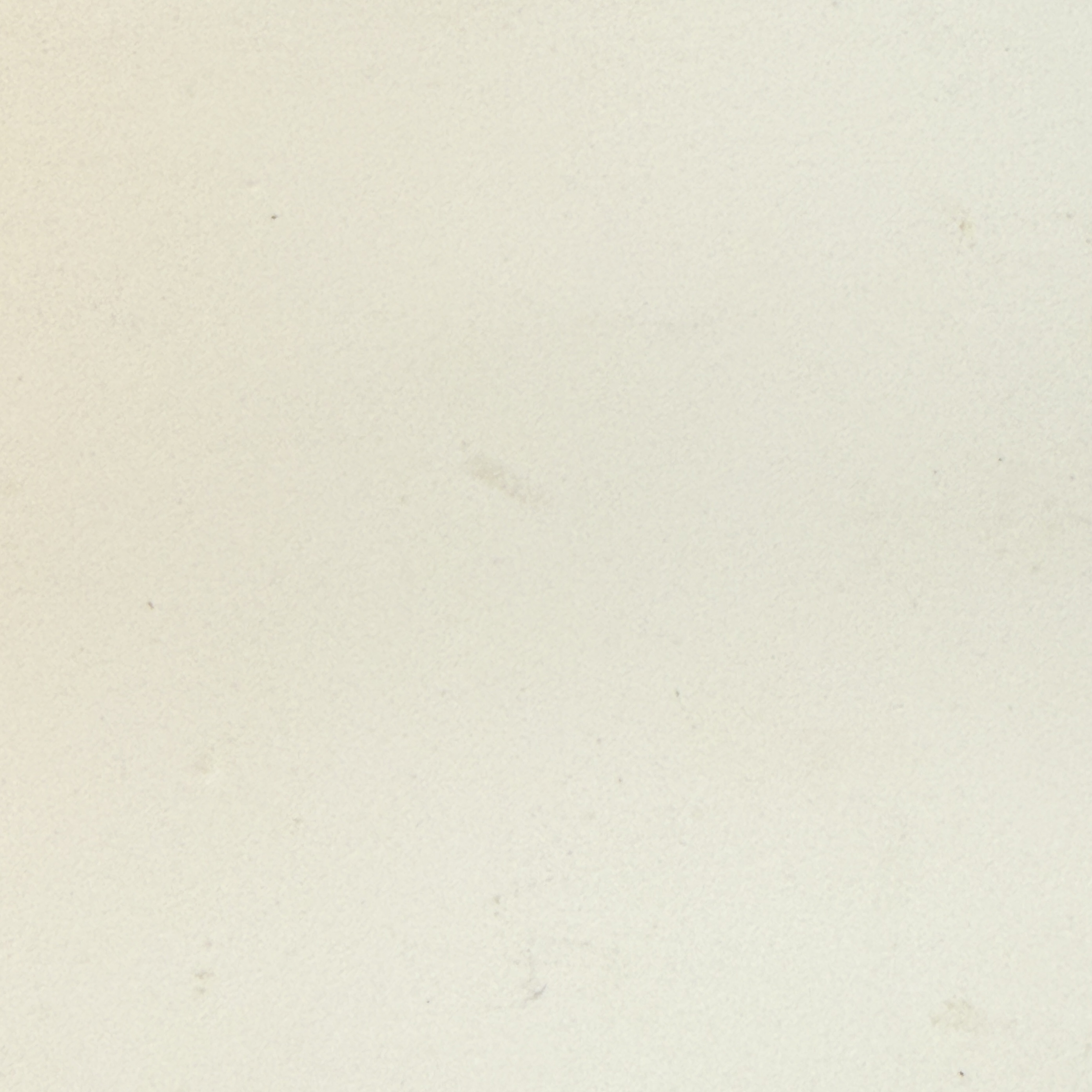 Almond Plain P-221 swatch